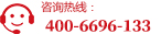 400-6696-133